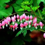 28国际:数字鸿沟对国际合作的影响与解决 58y74vzi0