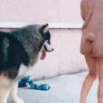 28国际娱乐的精彩活动与丰厚奖励一览 74lbqm