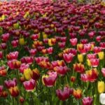 28国际娱乐的用户评价与口碑分析 la7wr