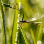 28国际:全球供应链的重构与未来发展 wszmw4jz4