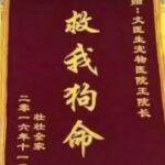 如何在28国际平台上进行高效的资产管理 z61w2m